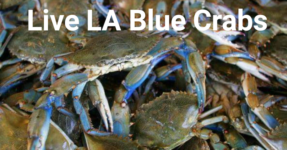 live blue crabs near me