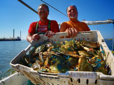 Two Guys With Crabs In White Bin, Dulac.