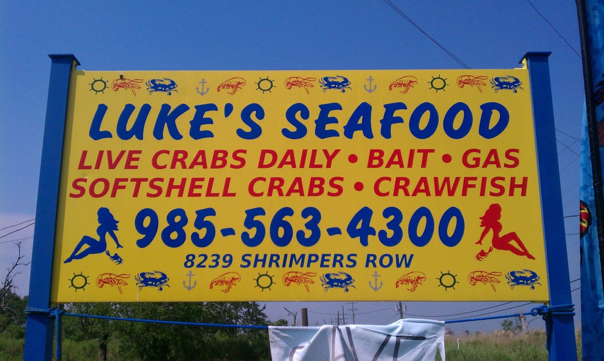 Live Blue Crabs, Soft Shell Crabs, Gumbo Crabs, And Oysters