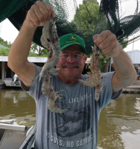 Ted Adams, fisherman, holding raw shrimp