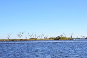 LDWF Offices Closed To The Public Indefinitely Starting March 17