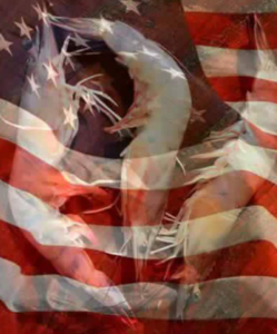 shrimp superimposed on American flag