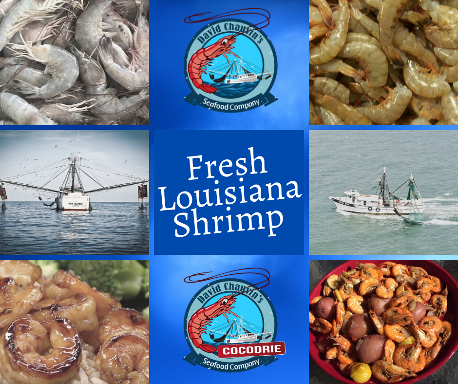 EXQUISITE Louisiana Shrimp