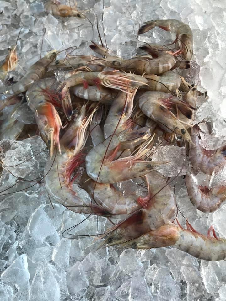 Fresh Shrimp For The Weekend!