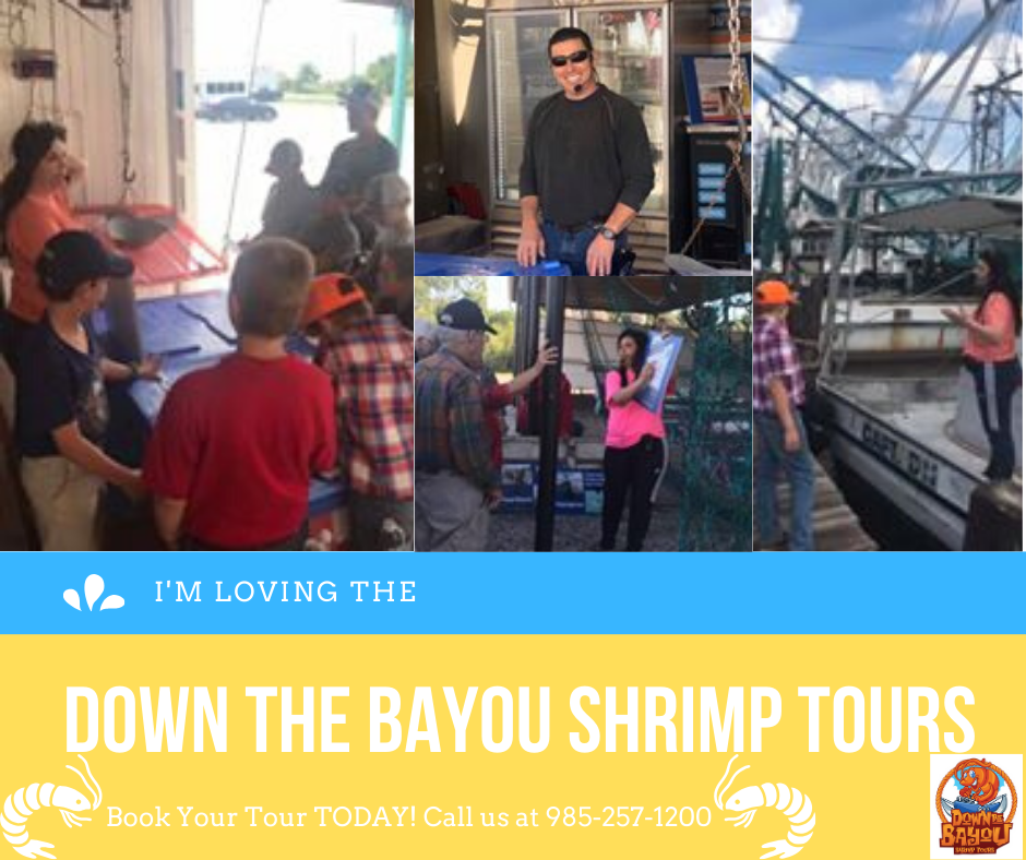 Down The Bayou Shrimp Tours