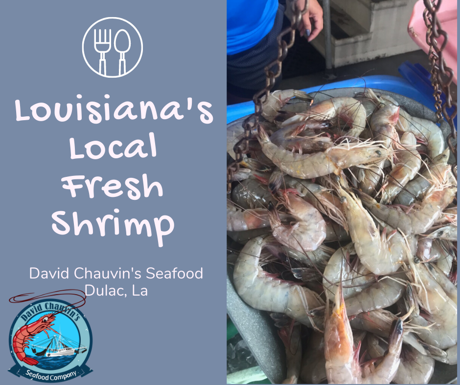 Need Some Fresh Local Shrimp?