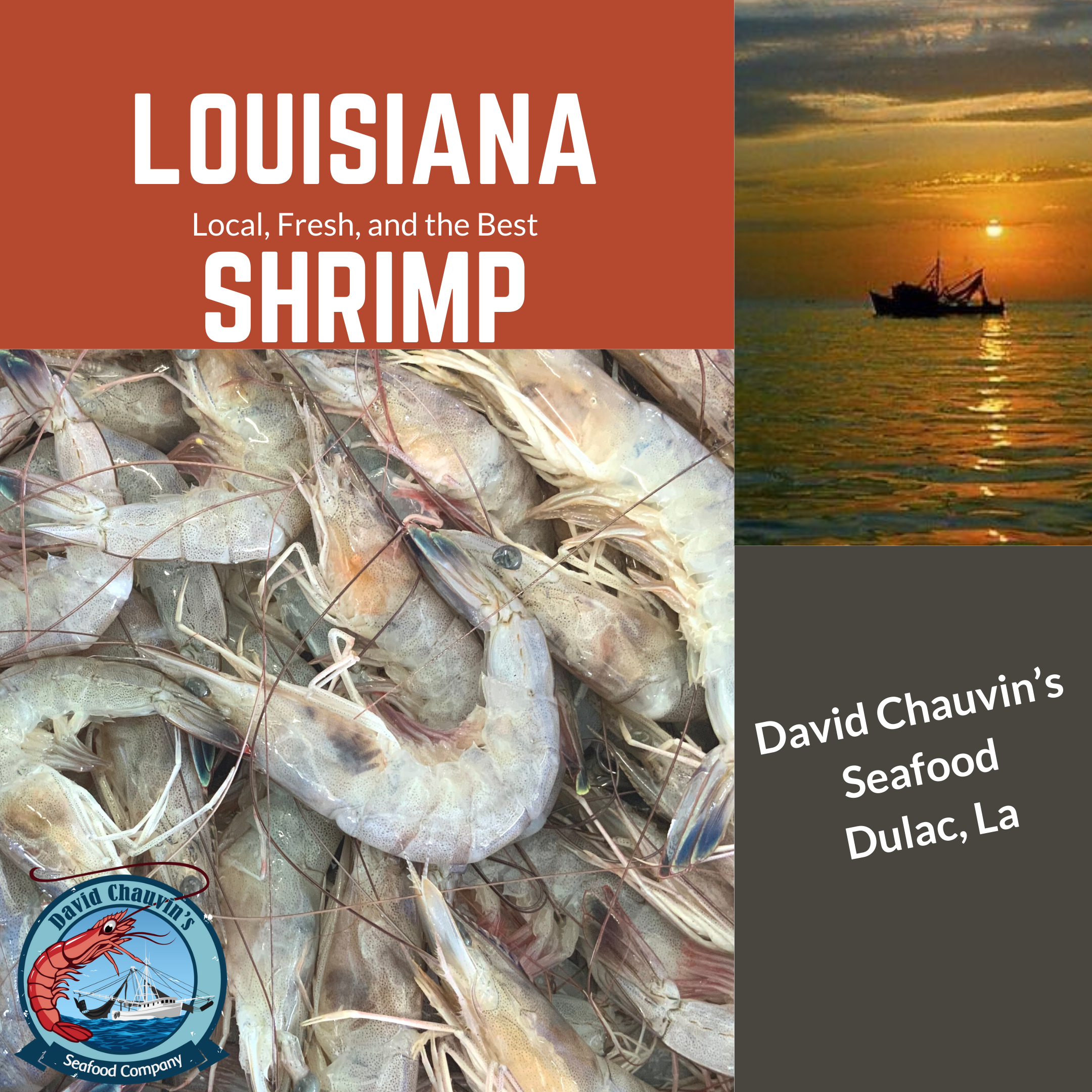 Your One-Stop Shop For Louisiana Shrimp