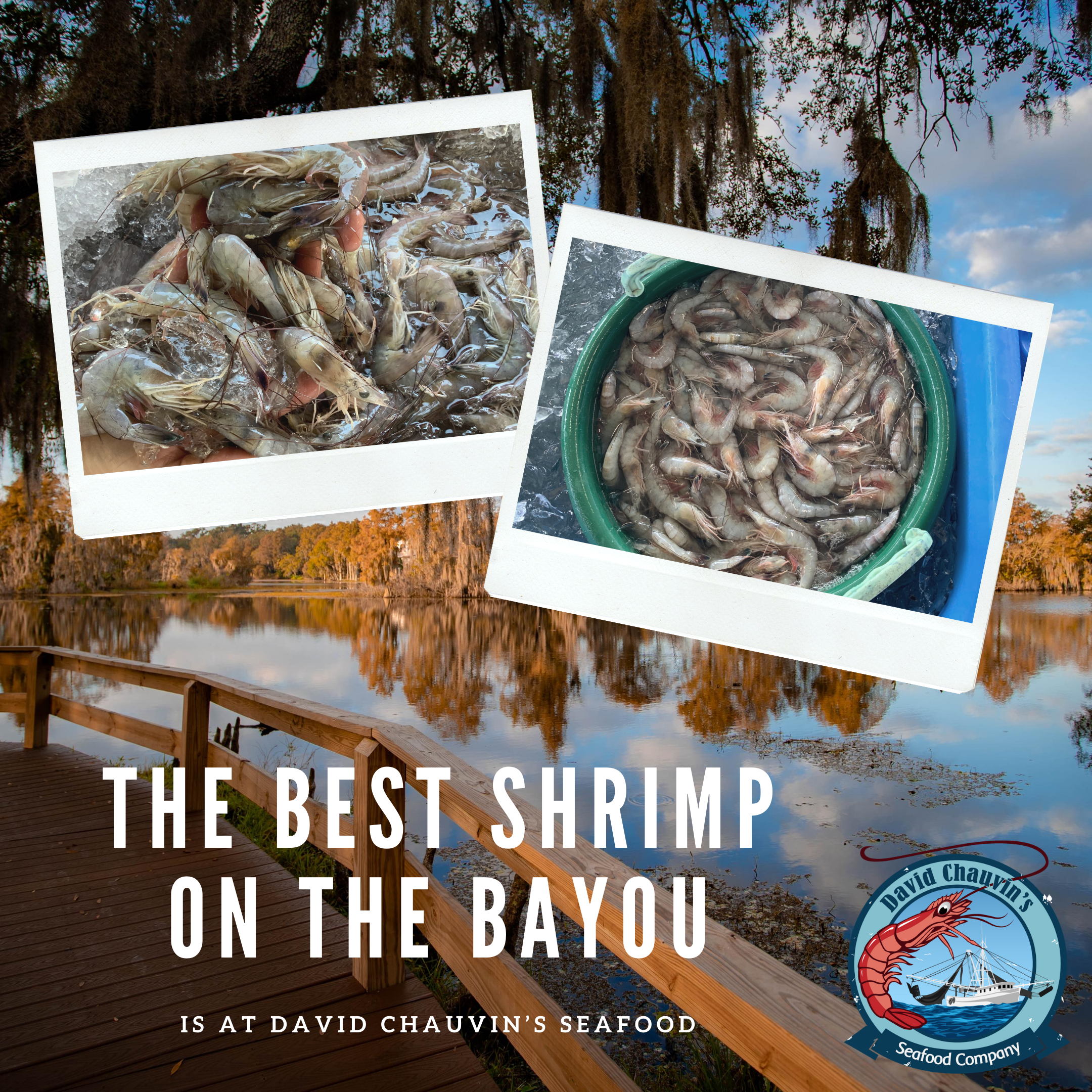 Louisiana’s Finest Shrimp