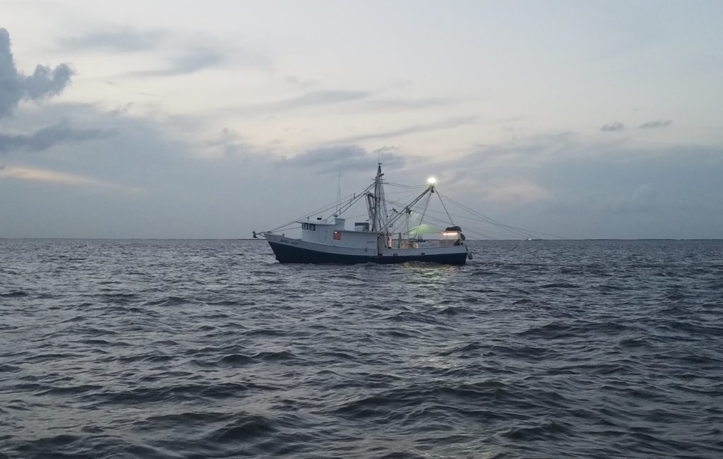 shrimp boat trawling at dusk