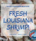 It's a Louisiana Shrimp Thang!