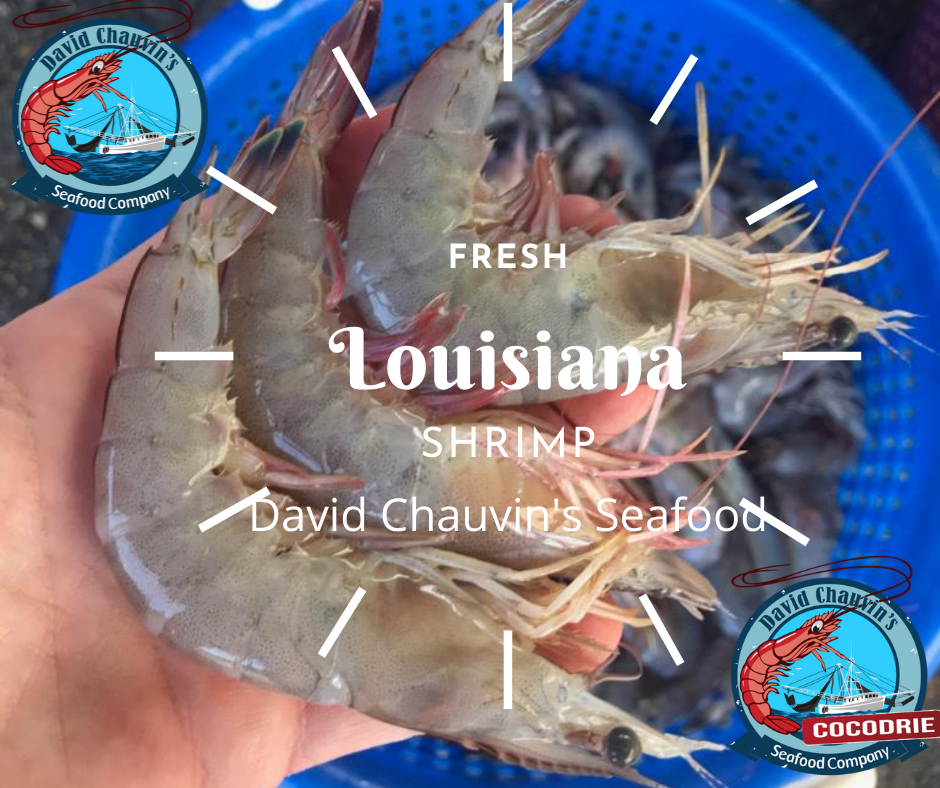 Freshest Louisiana Shrimp Around!