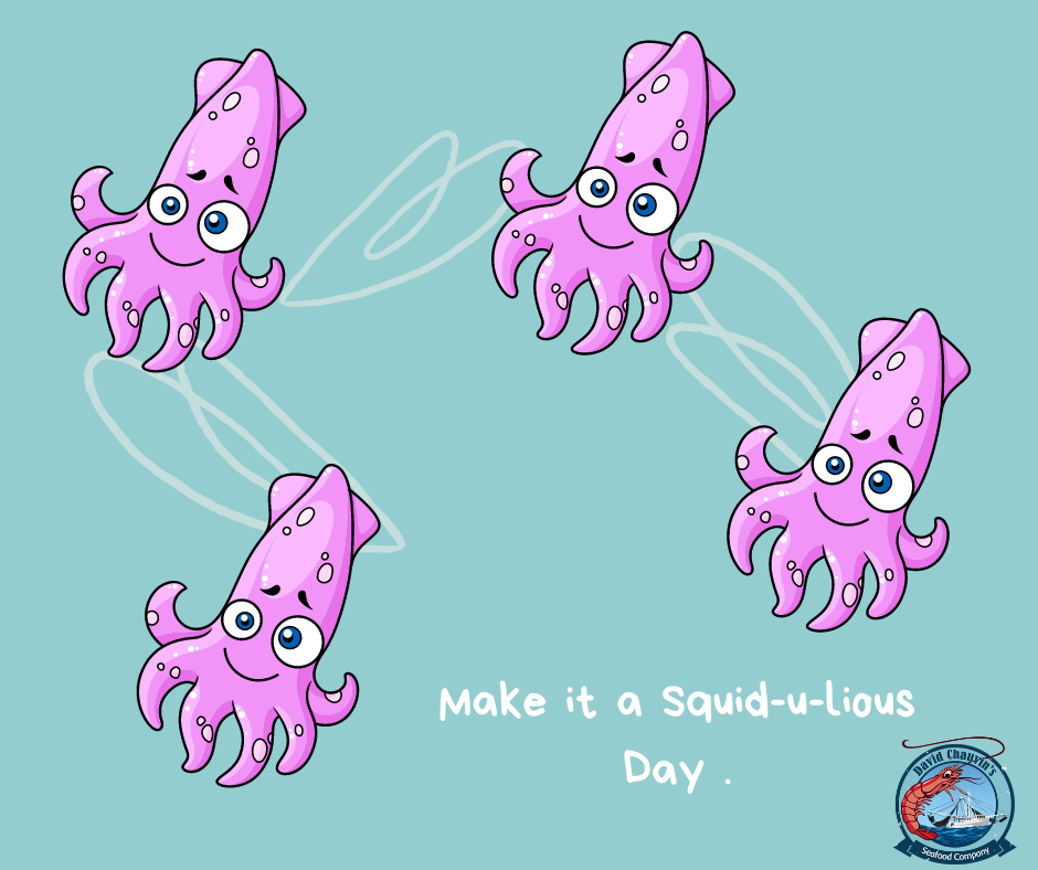 Fresh Squid