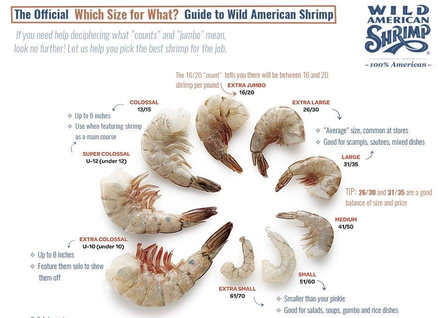 size chart for shrimp