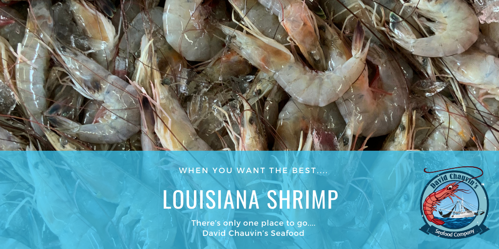 Come And Get Ya Some Fresh Shrimp!