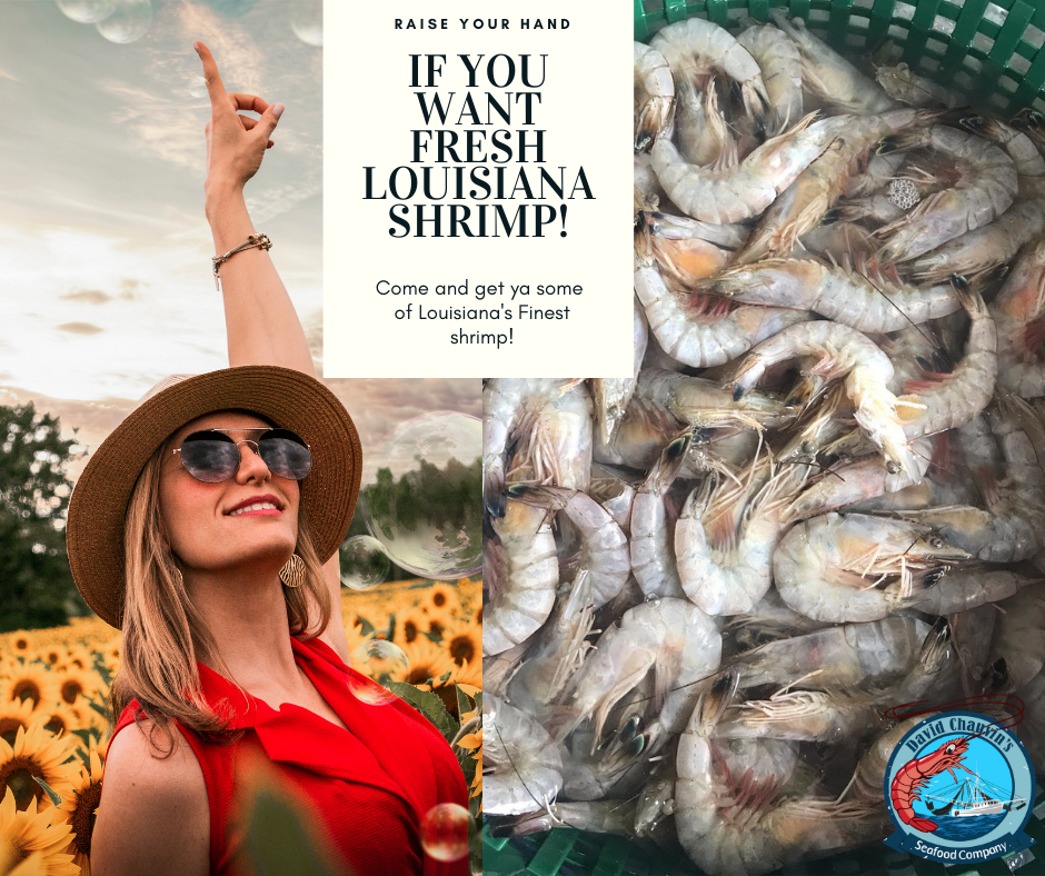 Looking For Local Shrimp?