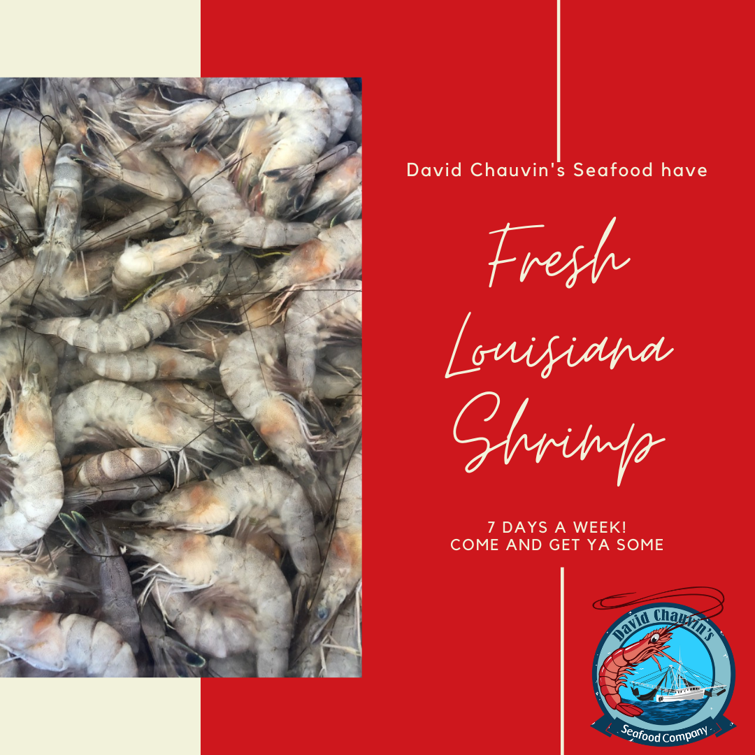 Fresh Louisiana Shrimp