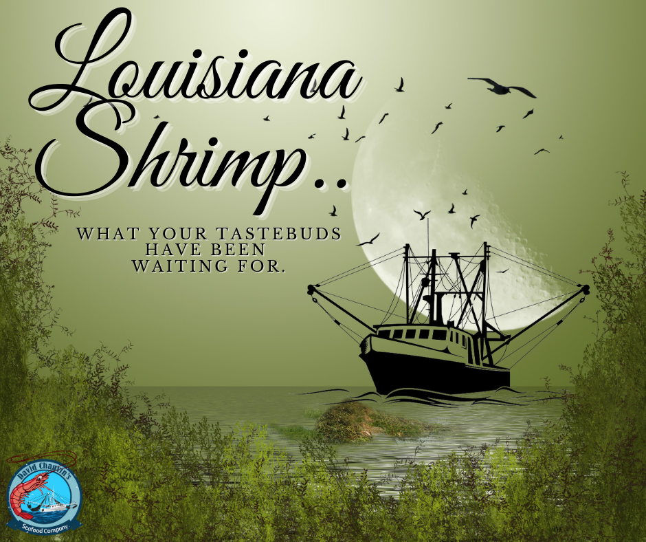 Louisiana Shrimp