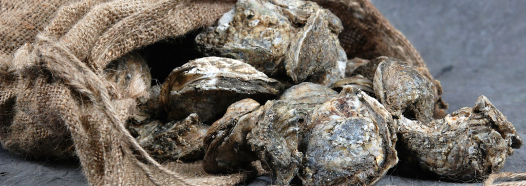 whole oysters spilling out of canvas sack