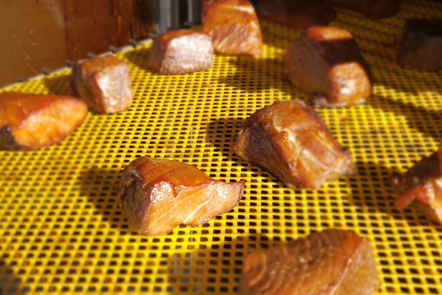 Seafood Field Day - The Science and Art of Smoking Seafood | Louisiana ...